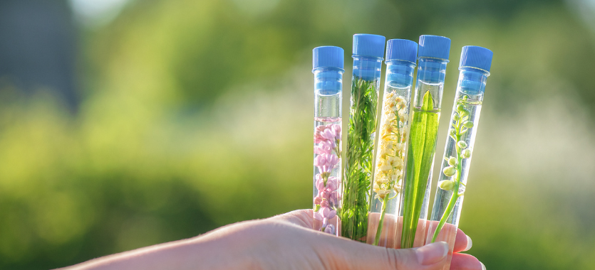 Botany - Banner 1
