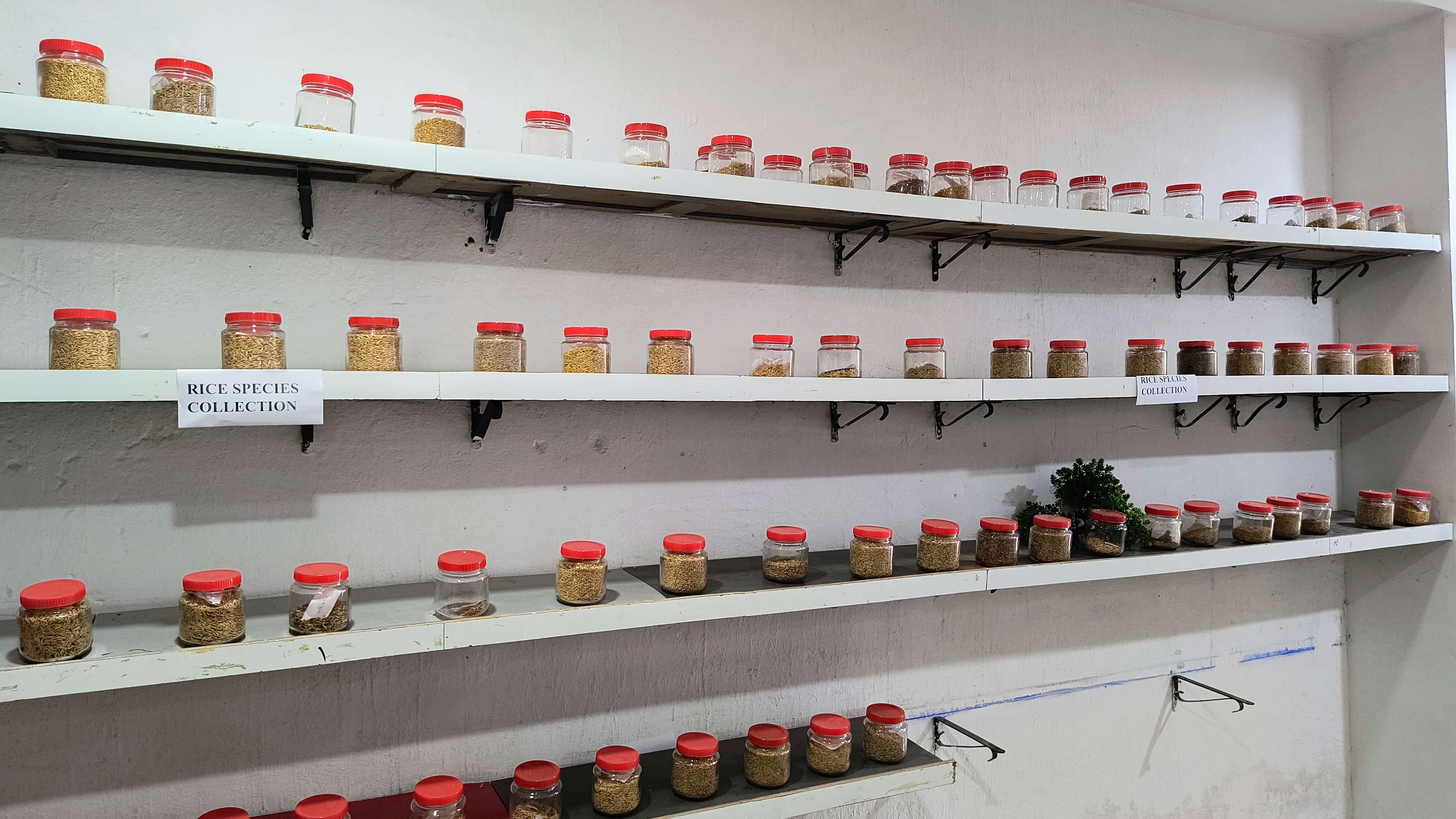 Forestry Laboratory