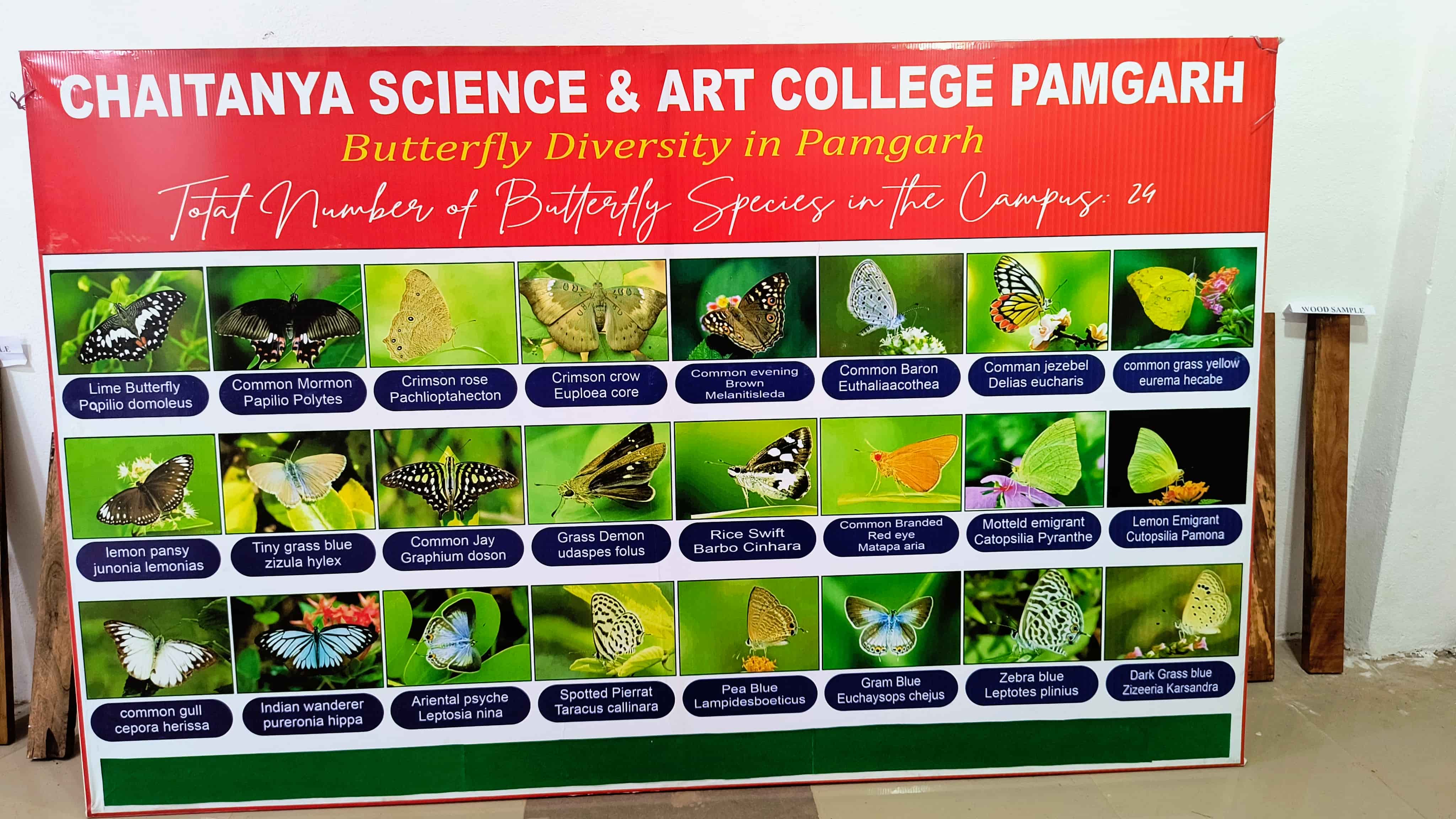 Zoology Laboratory