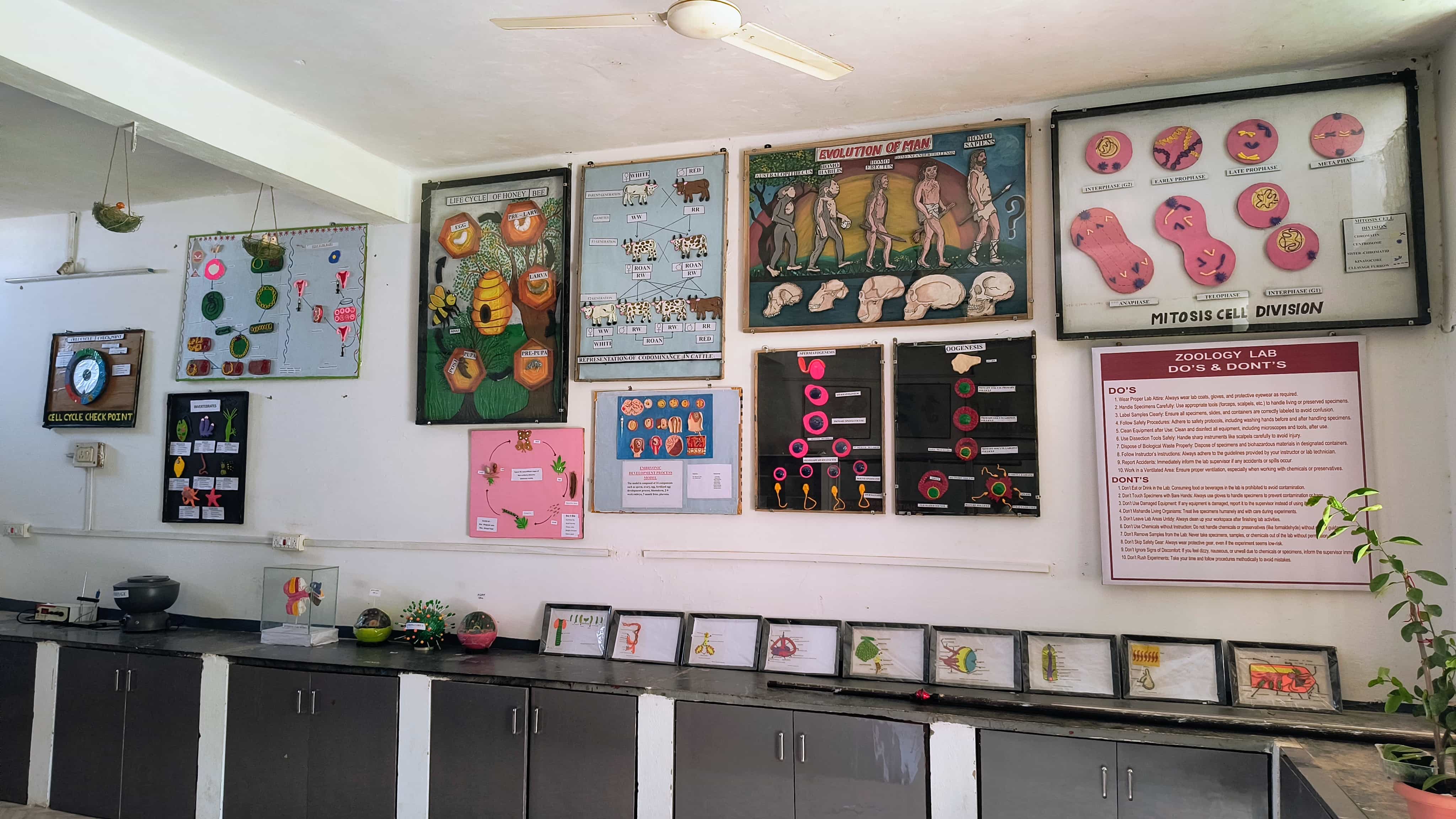 Zoology Laboratory