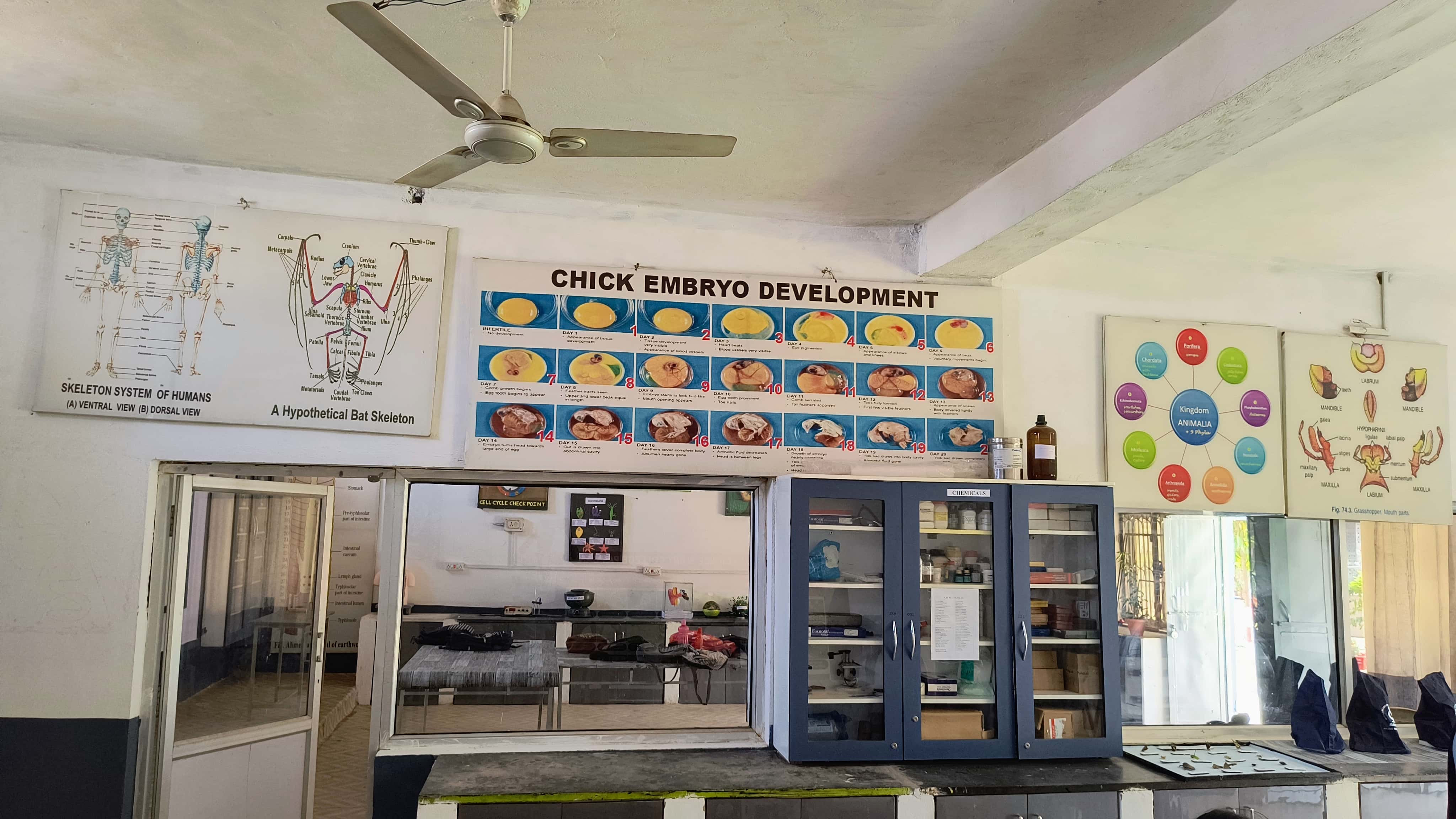 Zoology Laboratory